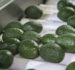 🥑 One Avocado a Day: A Superfood That Improves Sleep (and Much More)
